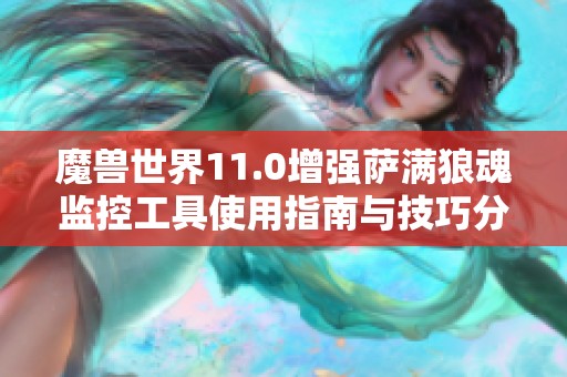 魔兽世界11.0增强萨满狼魂监控工具使用指南与技巧分享